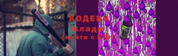 стафф Михайловск