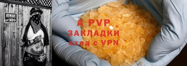 стафф Михайловск