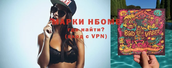 МДПВ Пересвет